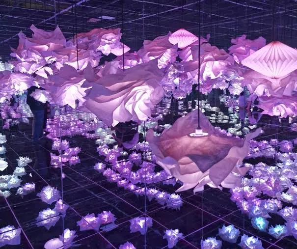 A Museum / Immersive Art Universe