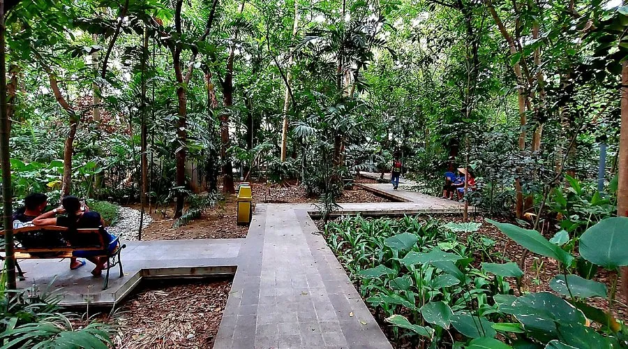 Arroceros Forest Park
