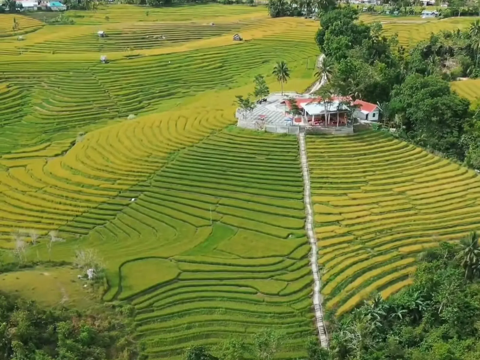 Cadapdapan Rice Terraces