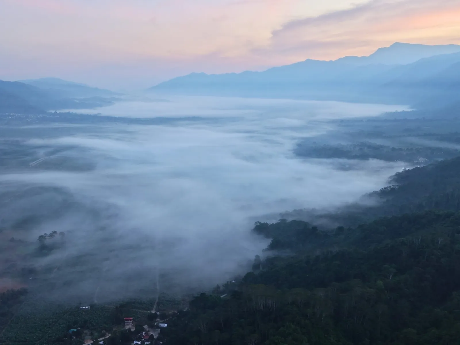 Calamba Farm Sea of Clouds