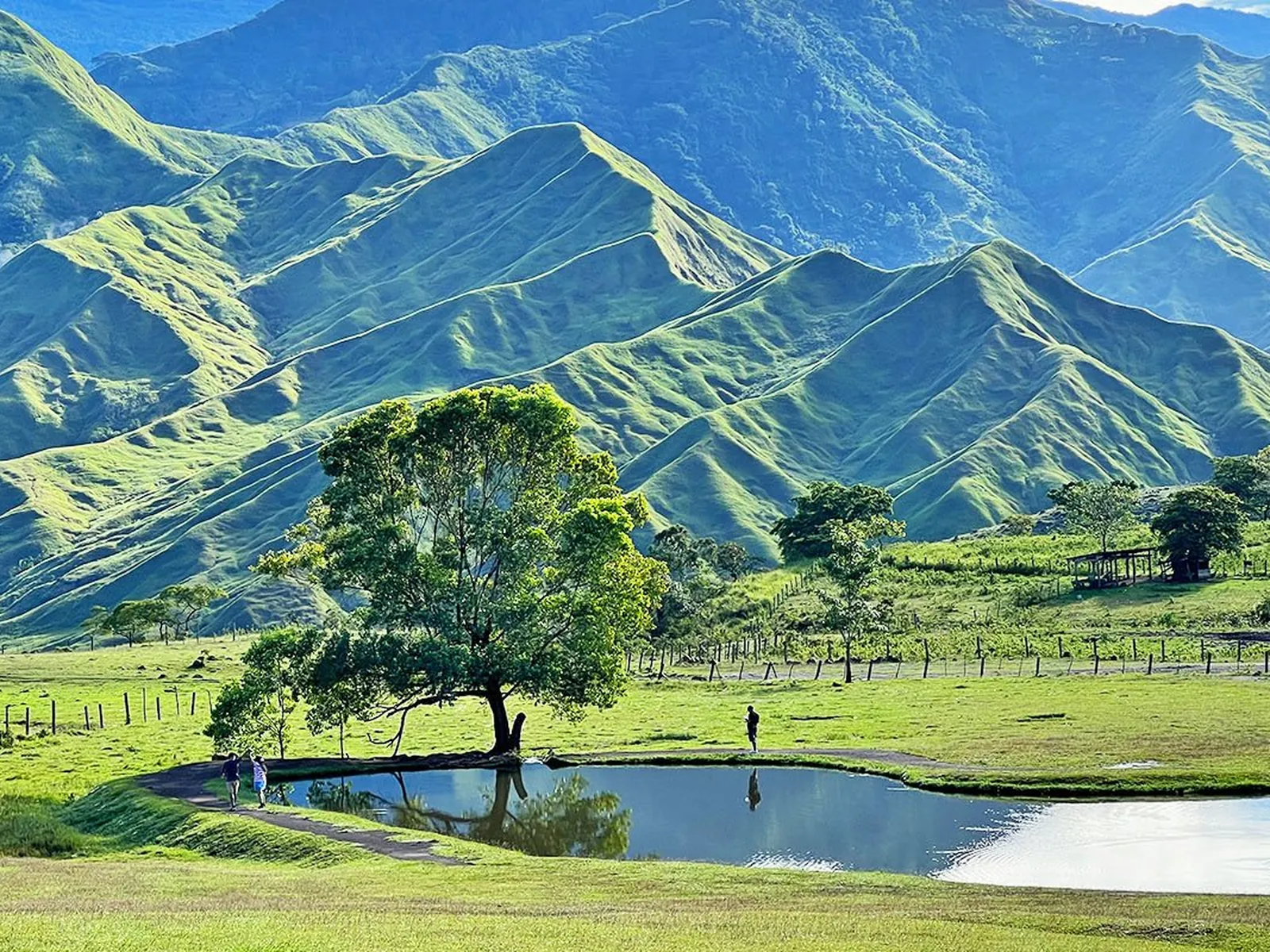 Communal Ranch