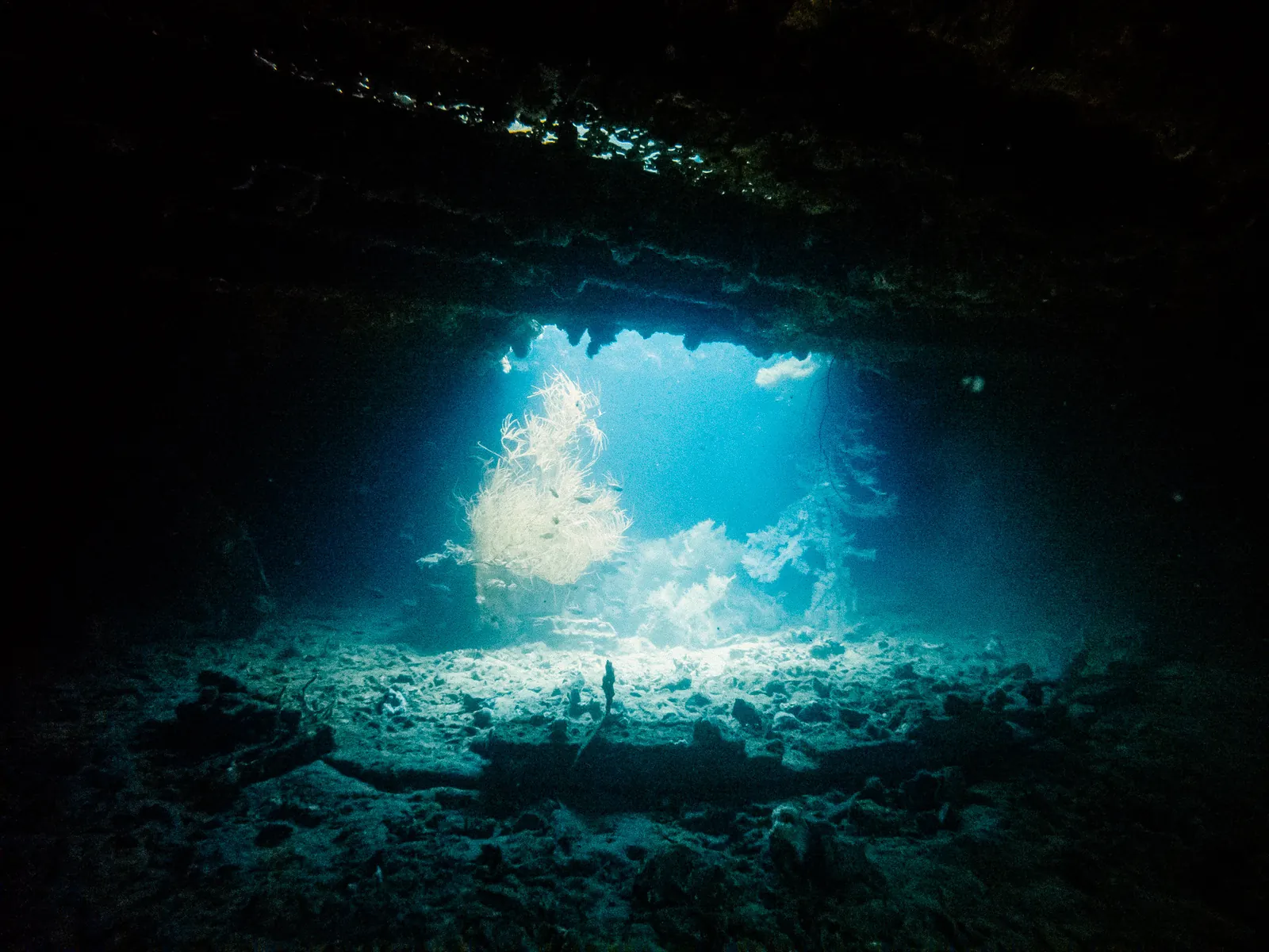 Coron WWII Shipwrecks (Skeleton Wreck and Wreck Dives)