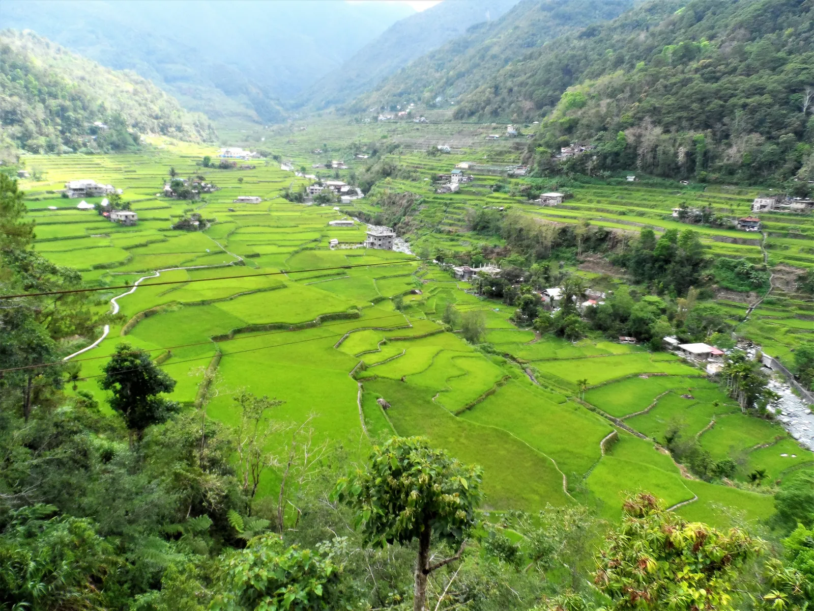 Hapao Rice Terraces