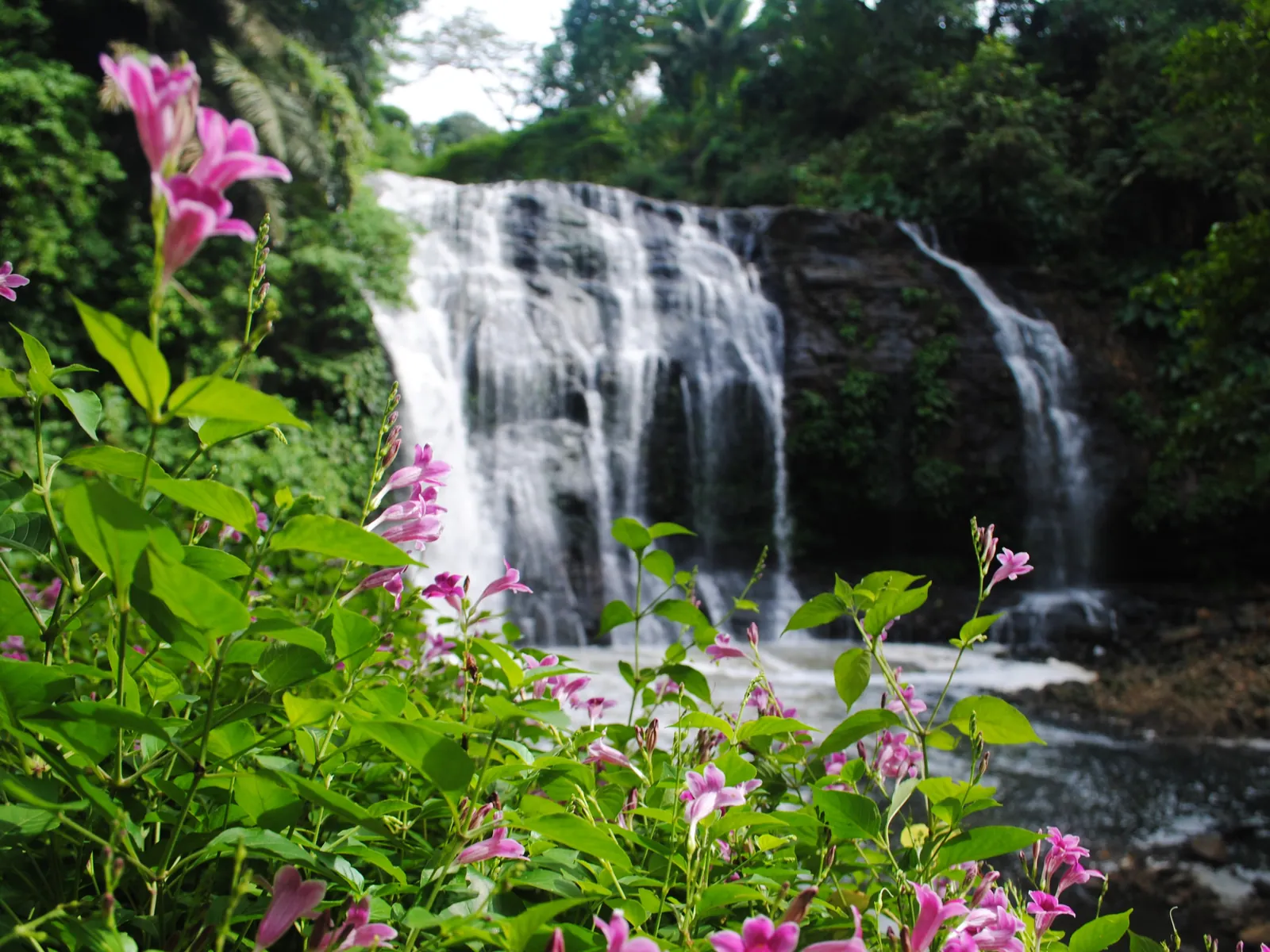 Hinulugang Taktak Nature and Adventure Park