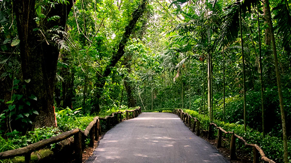 La Mesa Eco Park