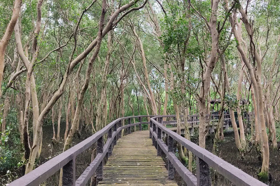 Las Piñas-Parañaque Wetland Park