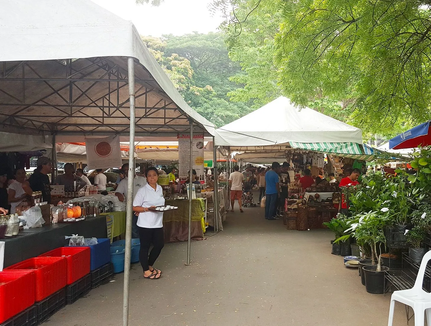 Legazpi Sunday Market