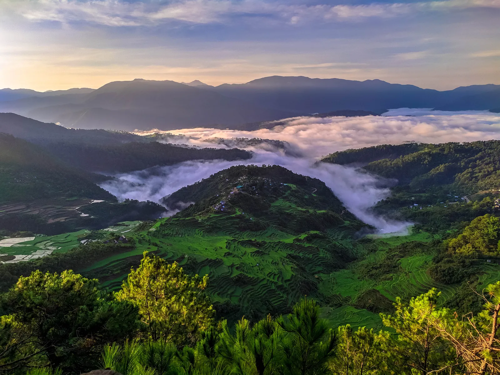 Maligcong Rice Terraces and Mt. Kupapey Sunrise