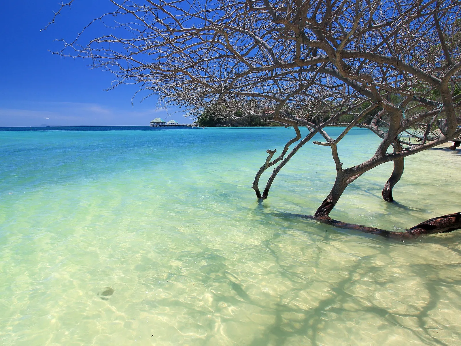 Manuel Uy Beach