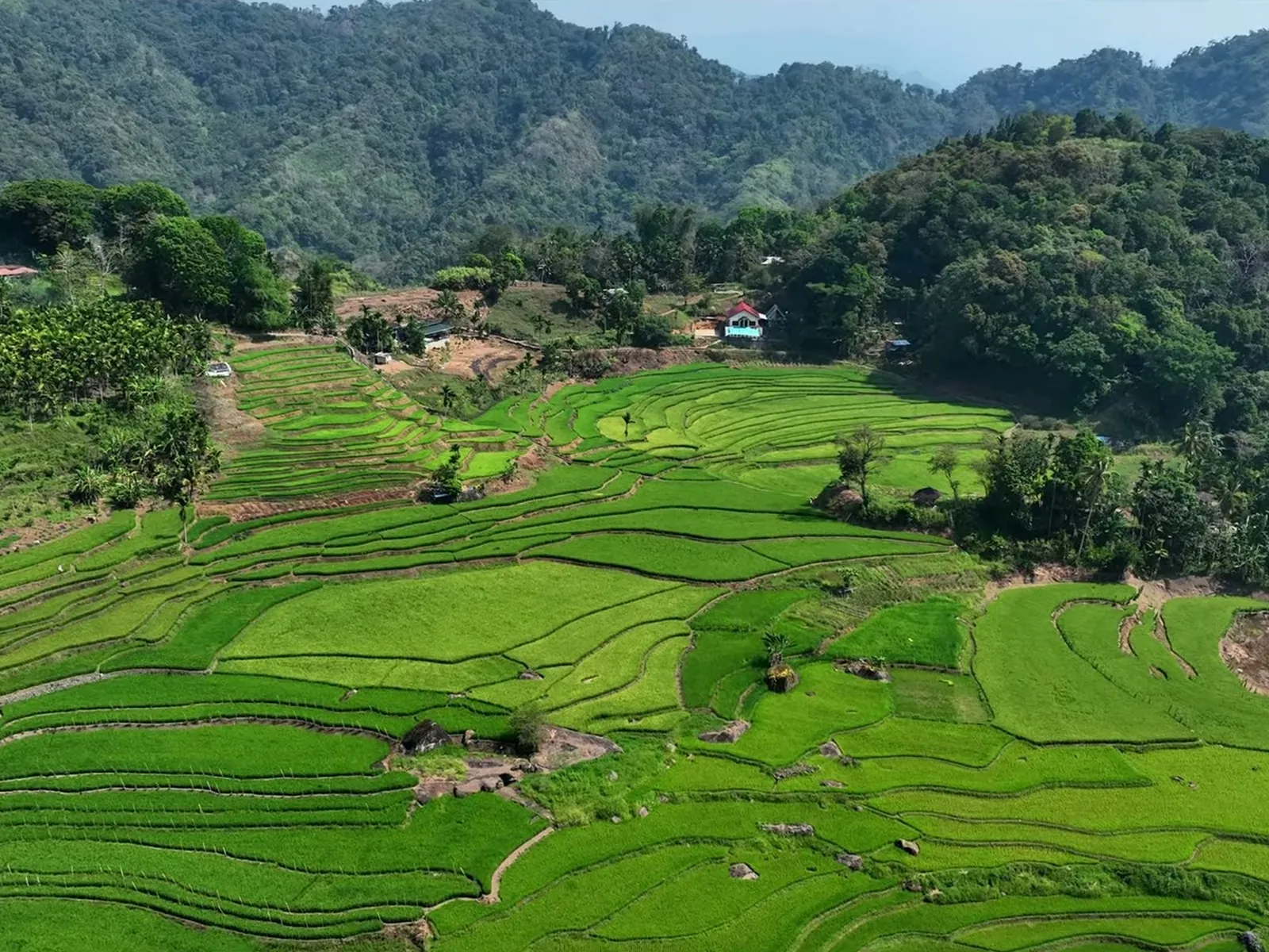 Nagacadan Rice Terraces