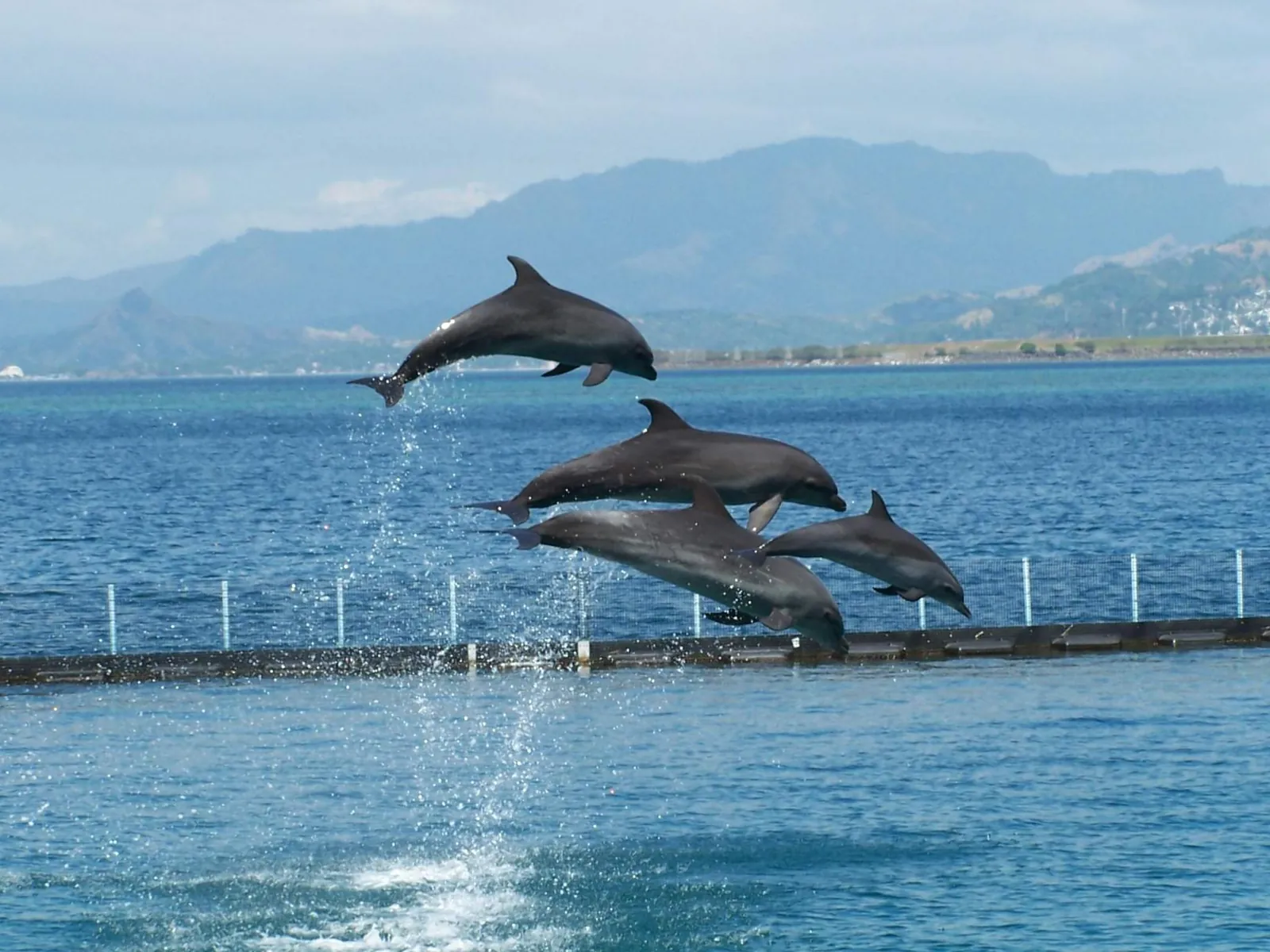 Ocean Adventure Subic