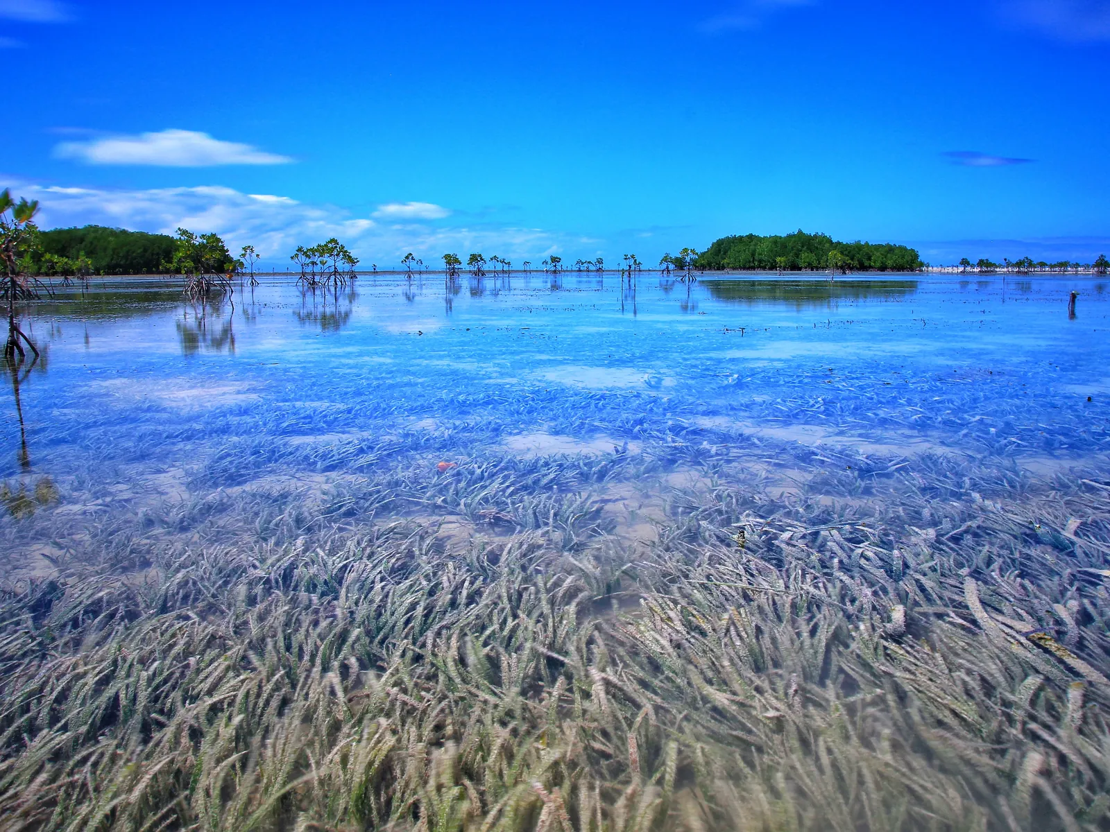 Olango Island Wildlife Sanctuary