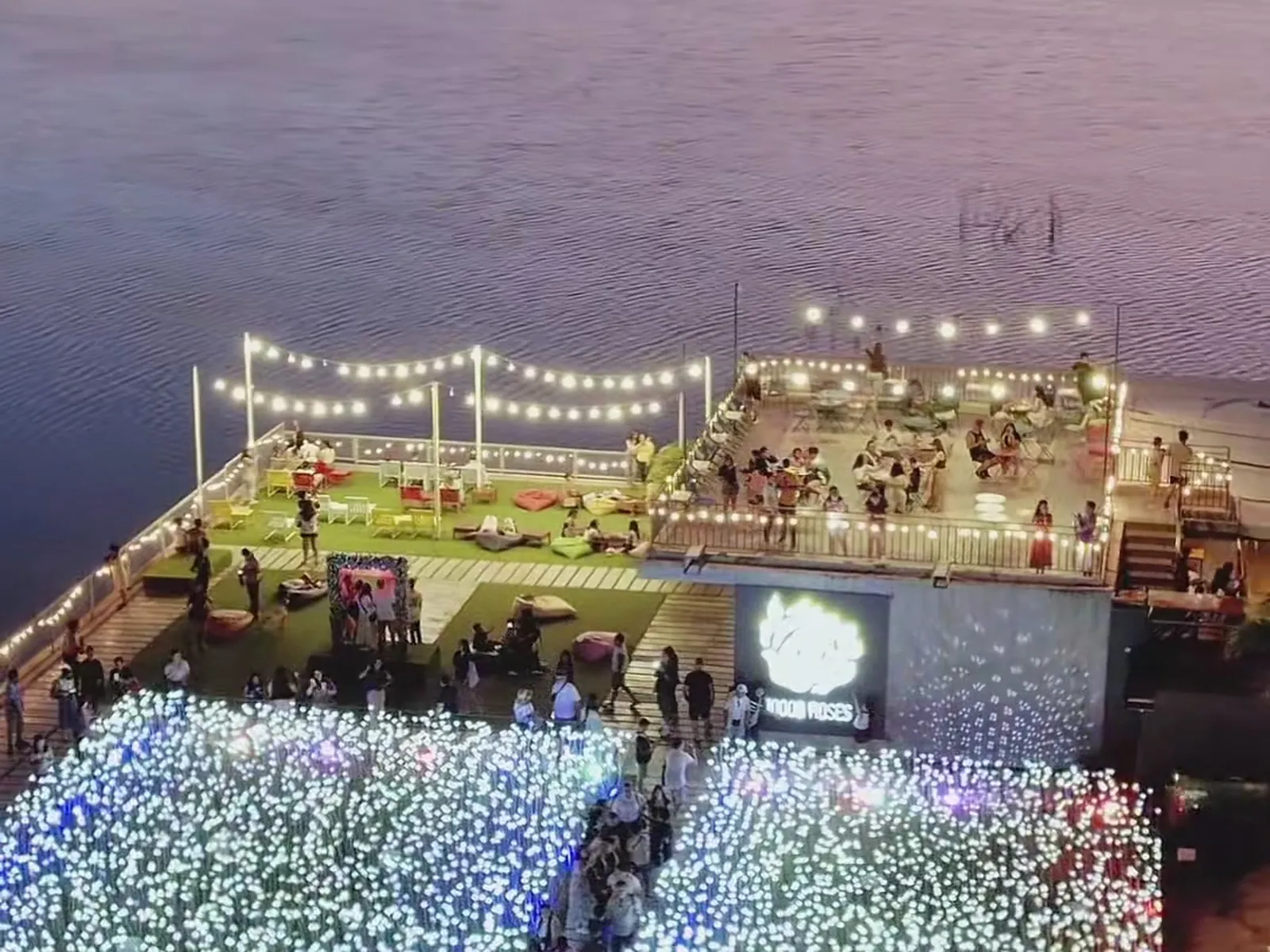 10,000 Roses