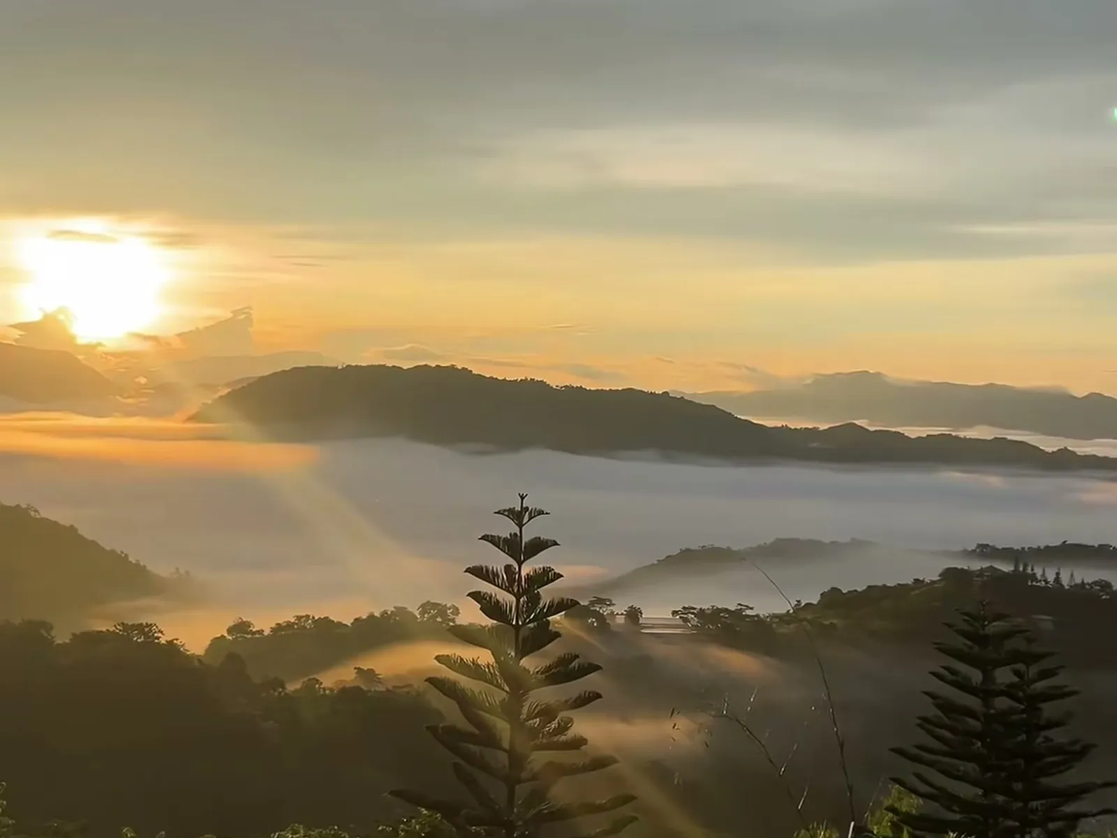 Viewscape Nature Park