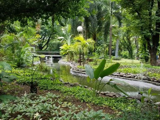 Washington SyCip Park